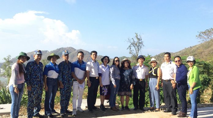 HANE: Trồng cây tại vùng 2 Hải Quân theo chương trình “Vì biển, đảo xanh Tổ quốc”